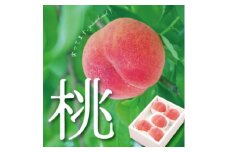 ＜2026年 先行受付＞日本一の桃の里 山梨直送!完熟桃4～6玉  約1.5kg ギフト化粧箱入り【1360079】