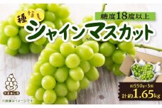 山梨市産「シャインマスカット(種なし)」 約1.65kg (約550g×3房)【1117302】