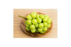 厳選シャインマスカット約1.8kg～2.1kg＜数量限定＞ ふるさと納税 【1355673】