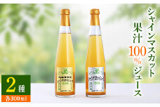 ＜数量限定＞シャインマスカット果汁100%ジュース2種 ストレート スパークリング 各300ml_ ふるさと納税 ふるさと フルーツジュース ジュース ぶどう ブドウ 山梨県 山梨市 山梨 ギフト プレゼント 贈り物 【1359117】