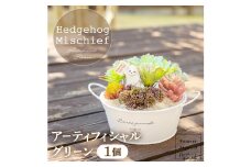 いたずらハリネズミと多肉植物のアーティフィシャルグリーン【1364563】