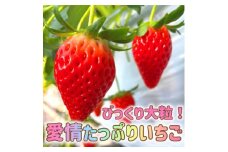 ＜おばあちゃんの愛情たっぷり＞山梨県山梨市産びっくり大粒いちご＜章姫＞＜冷蔵便＞【1280752】