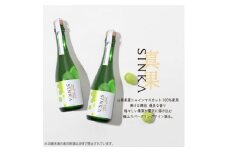 ワイン SINKA-真果- ( シャインマスカット スパークリングワイン ) 2本 セット_ ふるさと納税 ふるさと ワイン スパークリング 酒 お酒 アルコール ギフト プレゼント 贈り物 山梨県 山梨市 山梨 人気 送料無料【1362864】