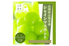 シャインマスカット 2房 1.1kg以上 山梨県 山梨市産【1364649】