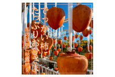 ＜山梨市産＞廃校活用!屋内プールで作った甘～いころ柿＜枯露柿＞(1箱12個入)【1368224】