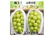 極上!農福連携シャインマスカット2房(2房1.2kg程度) 山梨市ふるさと納税【1368293】