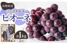 ＜2026年先行受付＞厳選!!池田青果のピオーネ　2房 ふるさと納税　計1kg以上【1370963】