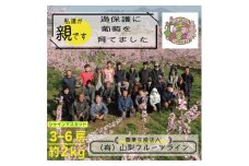 朝もぎ直送!!過保護に育った葡萄『のびのび育てたシャインマスカット』3～6房【1370173】
