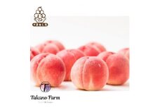 贈答もも 約2kg 山梨県産 自社農園産直!完熟収穫!＜数量限定＞化粧箱【1115747】