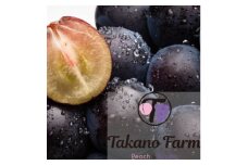 ＜数量限定＞Takano Farmの藤稔　約1.4～1.5kg(2～3房入)【1371862】