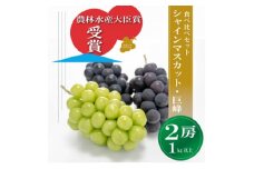 ＜農林水産大臣賞受賞!＞シャインマスカット ・巨峰 2房 1kg以上※2023年9月以降発送【1371922】