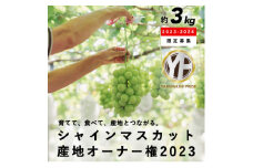 ＜2023年度＞シャインマスカットオーナー権 育てて、食べて、産地とつながる。【1368126】