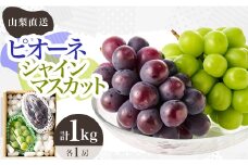 ＜大人気ぶどう2種盛り合わせ＞シャインマスカット・ピオーネ　計1kg以上【1376584】