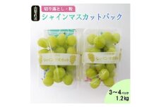 ＜訳あり＞池田青果のパックシャインマスカット 1.2kg(3～4パック)【1376589】