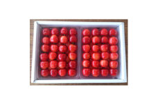 垣根栽培さくらんぼ　紅秀峰　1kg(500g×2パック入り)並べ詰め【1373589】