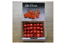 垣根栽培さくらんぼ　紅秀峰　500g並べ詰め【1373609】
