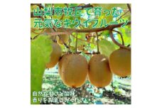 山梨市牧丘産　キウイフルーツ(栽培期間中、農薬不使用) 1kg程度【1379030】