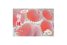 山梨厳選の逸品旬の桃1.5kg ふるさと納税 桃【1379570】