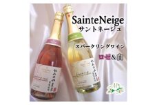 ワイン サントネージュが贈る スパークリングワイン ロゼ 白 2本 セット_ ふるさと納税 ふるさと ワイン スパークリング お酒 酒 アルコール 山梨県 山梨市 山梨 ギフト プレゼント 贈り物 人気 送料無料【1380062】