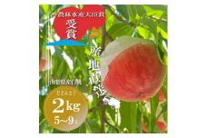 ＜2023年6月下旬より順次発送予定＞山梨県産白桃　5~9玉　2kg以上【1392203】