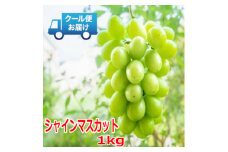 安心のクール便発送　シャインマスカット 1kg (2房)【1398931】