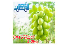 安心のクール便発送　シャインマスカット 1.3kg (2房)【1398966】