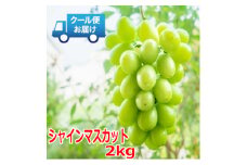 安心のクール便発送　シャインマスカット 2kg (3～4房)【1398967】