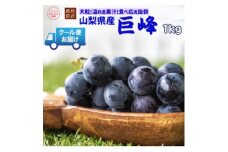 安心のクール便発送　山梨県産　巨峰 1kg(2房)【1398969】