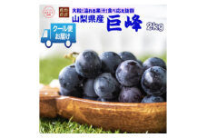安心のクール便発送　山梨県産巨峰 2kg(3～4房)【1398971】