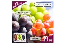 3色詰合せ　シャインマスカット・種なし巨峰・甲斐路(各1房)計3房【1399004】