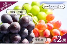 3色詰め合わせ　シャインマスカット・種なし巨峰・甲斐路(各2房)計6房【1399005】