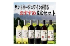 ワイン サントネージュワインが贈る おススメ 6本 セット_ ふるさと納税 ふるさと ワイン 赤ワイン 白ワイン ソーヴィニヨン シャルドネ お酒 酒 アルコール 山梨県 山梨市 山梨 ギフト プレゼント 贈り物 飲み比べ 詰め合わせ 送料無料【1400787】