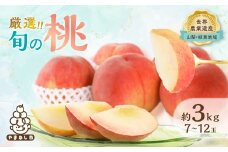 厳選!旬の桃　約3kg(7玉～12玉)＜離島・沖縄配送不可＞【1395535】