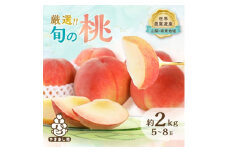 厳選!旬の桃　約2kg(5玉～8玉)＜離島・沖縄配送不可＞【1395536】