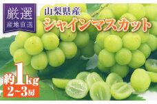 シャインマスカット 約1kg 厳選!農家直送 シャインマスカット (2～3房)【1395545】