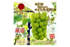 厳選!プレミアムシャインマスカット1房　(700g以上サイズ)【1395550】