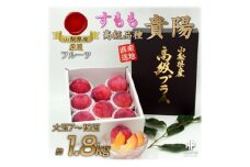 ＜2026年先行予約＞すもも『大玉貴陽』約1.8kg(7～10玉)【1395561】
