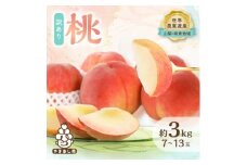 ＜訳あり＞桃 約3kg (7玉～13玉) 山梨市産 桃【1395537】