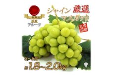 厳選!シャインマスカット約1.8～2.0kg　3～5房入り【1395552】