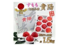 すもも『中玉貴陽』約1.5kg(7～10玉)【1395560】