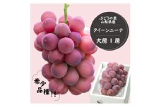 希少品種!『クイーンニーナ1房』ぶどうの赤い宝石。山梨県産の注目品種でおすすめ【1041238】