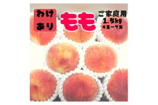 ＜訳あり＞桃 約1.5kg 山梨 の 完熟桃 ご家庭用_ ふるさと納税 ふるさと 桃 もも モモ 完熟 わけあり 訳アリ フルーツ 果物 くだもの 山梨県 山梨市 山梨 人気 送料無料【1406099】