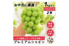 ＜7～8月発送＞ 先取りプレミアムシャインマスカット 2房 1kg以上 ハウス栽培 山梨市産【1408892】