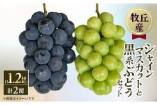 山梨直送!!シャインマスカットと黒系ぶどう　2房(1.2kg以上)【1412072】