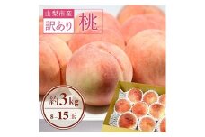 ＜2026年先行受付＞訳あり!桃 3kg前後 A品【1419386】