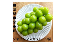 シャインマスカット2房(1箱1kg以上)【1418661】