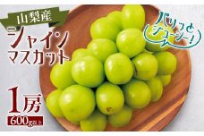 ＜2025年発送＞シャインマスカット1房(1房600g以上)【1418662】