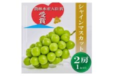 ＜訳あり＞シャインマスカット2房1kg以上 ※2023年8月下旬以降発送予定【1422036】