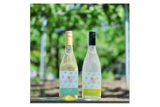 ＜味くらべセット＞山梨市産シャインマスカット100%使用の贅沢な白ワインと果実酒!キリっと辛口!【1421294】