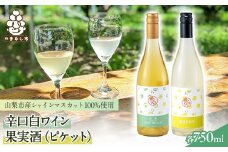 ＜味くらべセット＞山梨市産シャインマスカット100%使用の贅沢な白ワインと果実酒!キリっと辛口!【1421294】